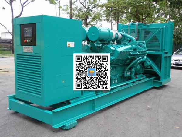 玉树租赁发电机-康明斯发电机性价比还是比较高的