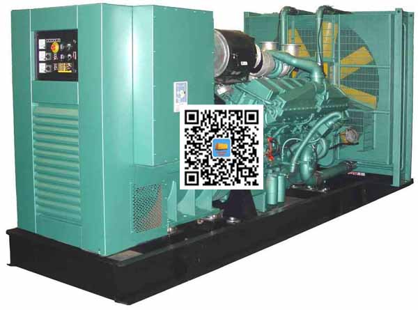 玉树笼型异步发电机的电力电子控制技术