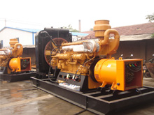 玉树发电机组的频率规格是如何确定的？